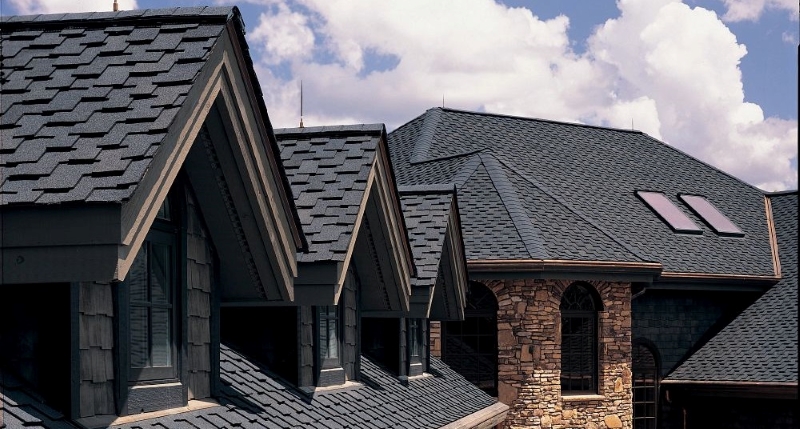 house with black roof